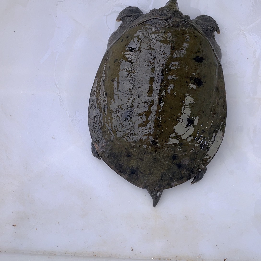 中国大陆12345678