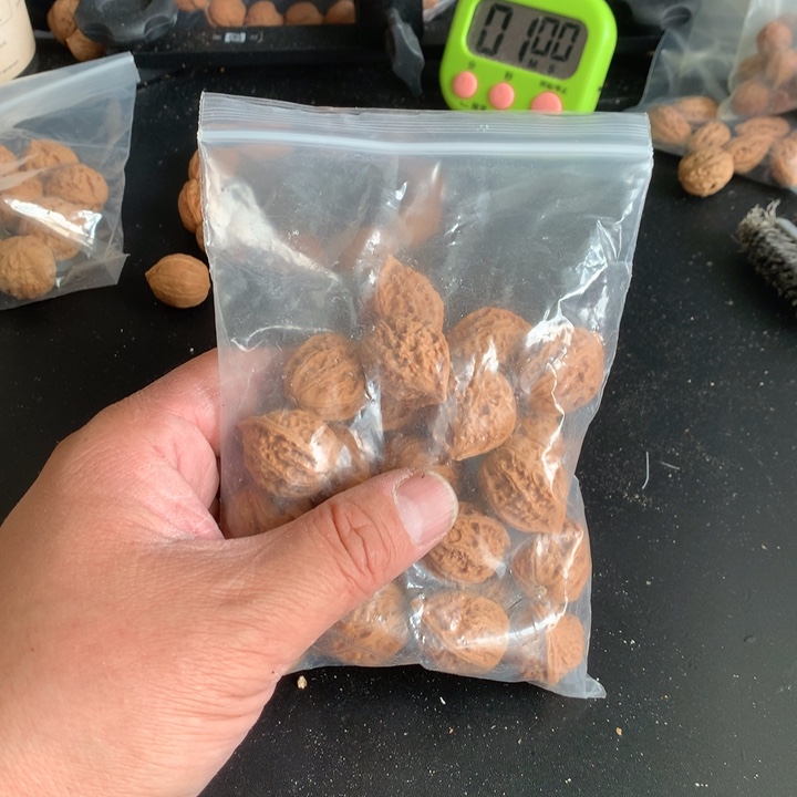 文玩核桃吊坠…*野生精品小核桃散籽