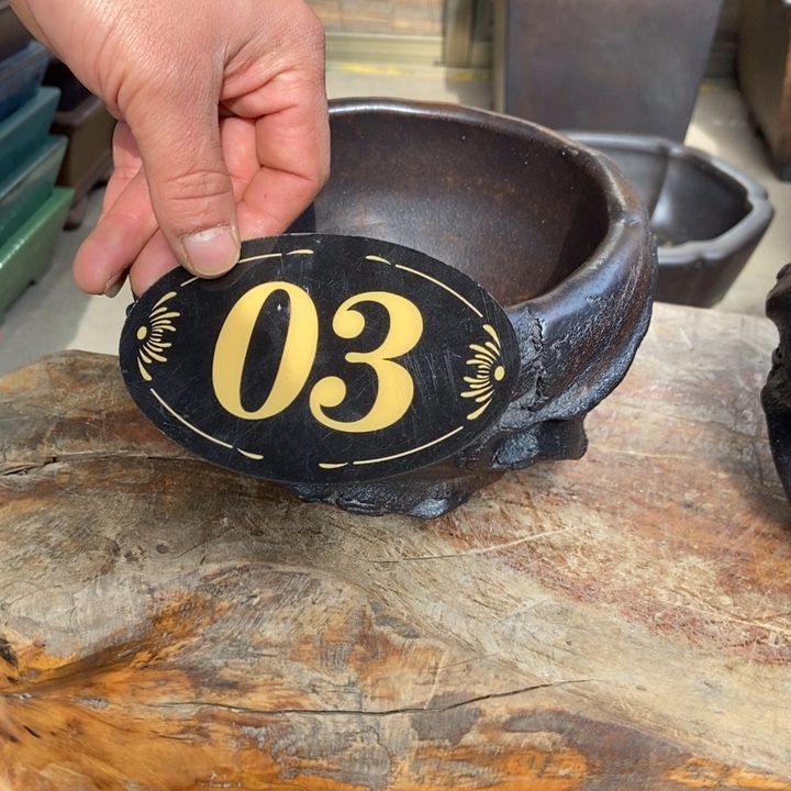 骆***雷杨冬益紫砂花盆……789