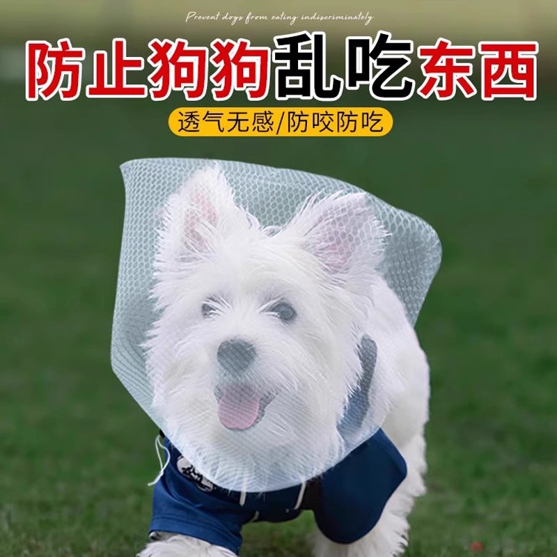 比熊狗狗防乱吃头纱面罩狗狗嘴套防咬乱吃嘴罩防舔网套小型犬神器