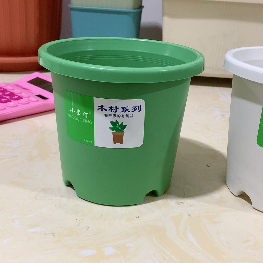 树脂四季口15果绿10个无托