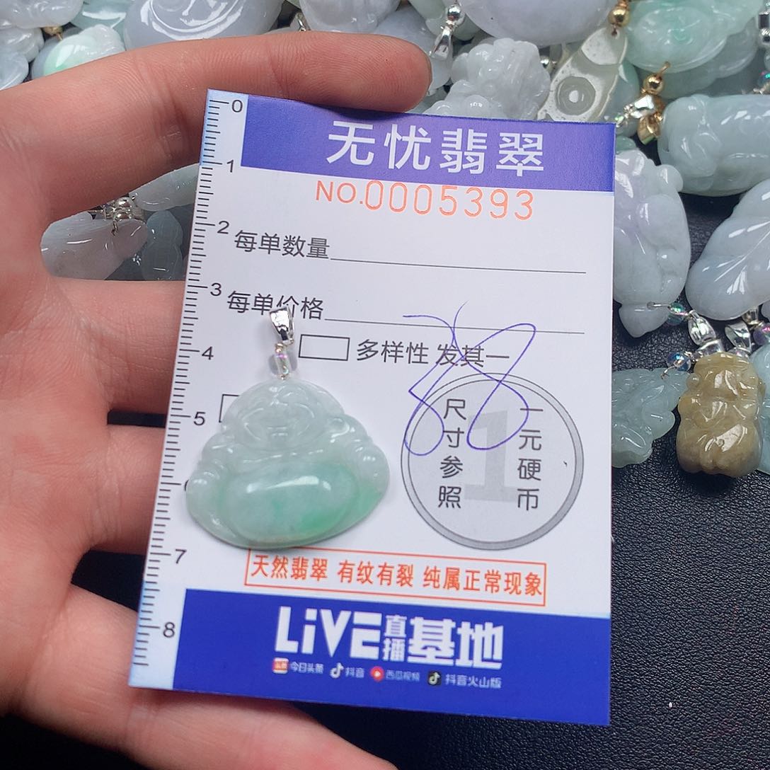 颈饰未镶嵌翡翠b