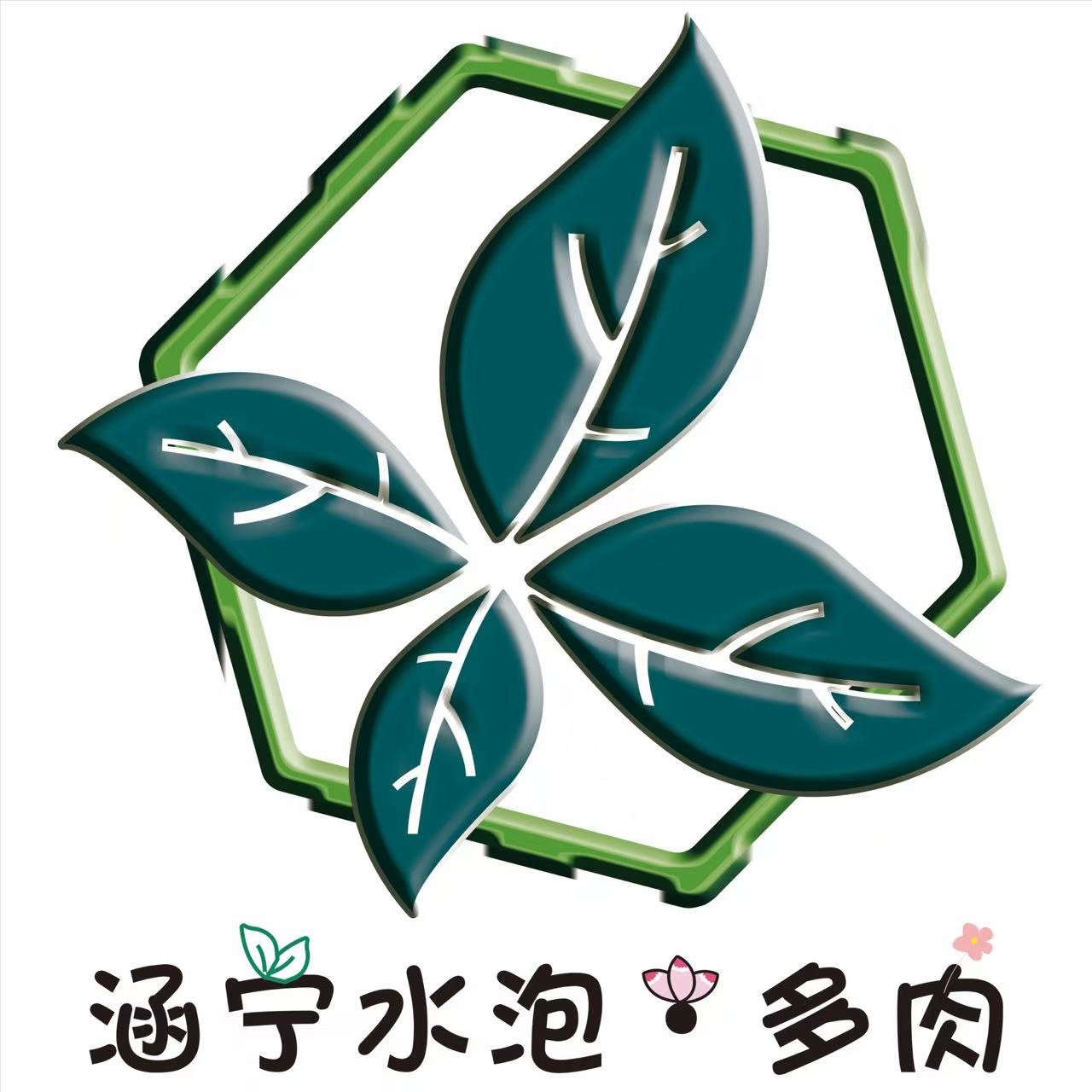 多肉植物鉴赏询问