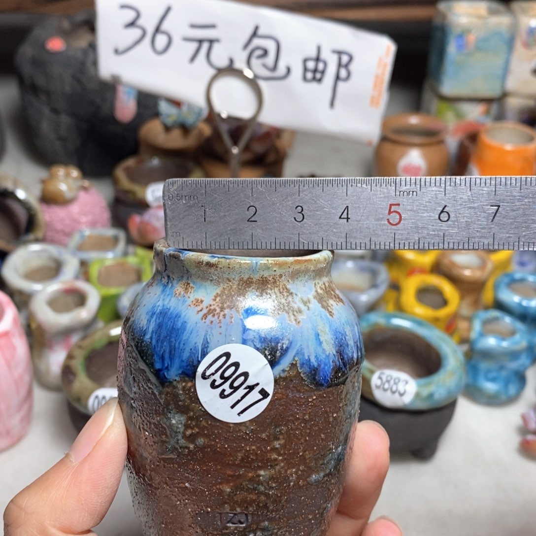 拍5送一个小礼物