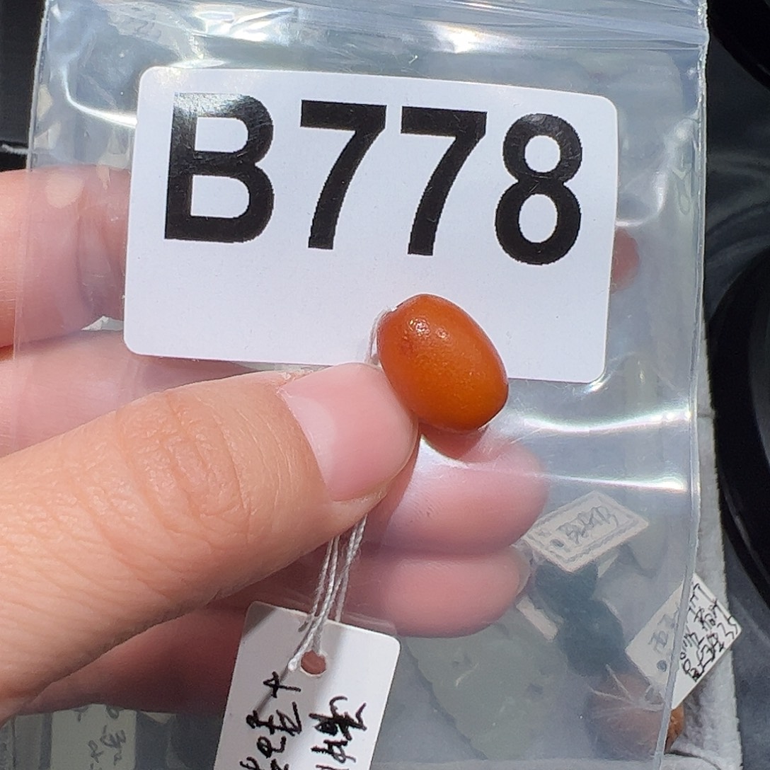 琥珀未镶嵌颈饰琥珀