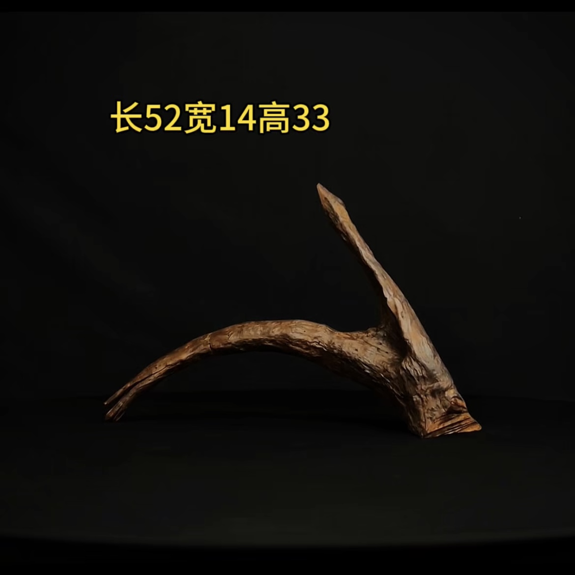 张大狼造景沉木长52cm拱桥飘枝 南美鱼缸造景 紫柚木秒沉