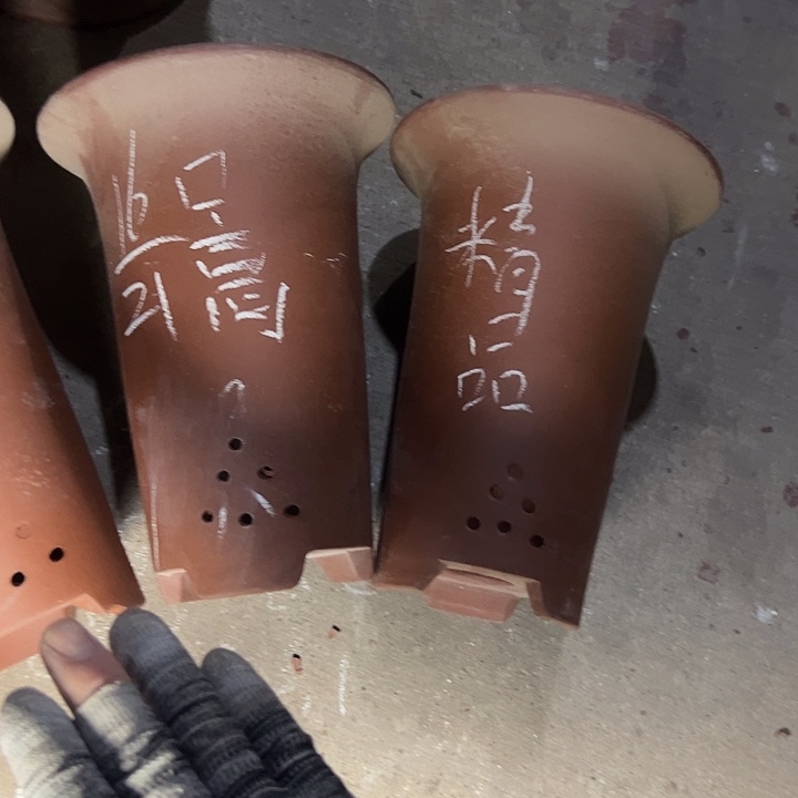 啧啧啧实在是啧啧啧啧 