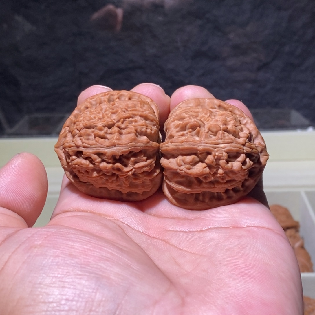 盹***盹吊坠文玩核桃白狮子