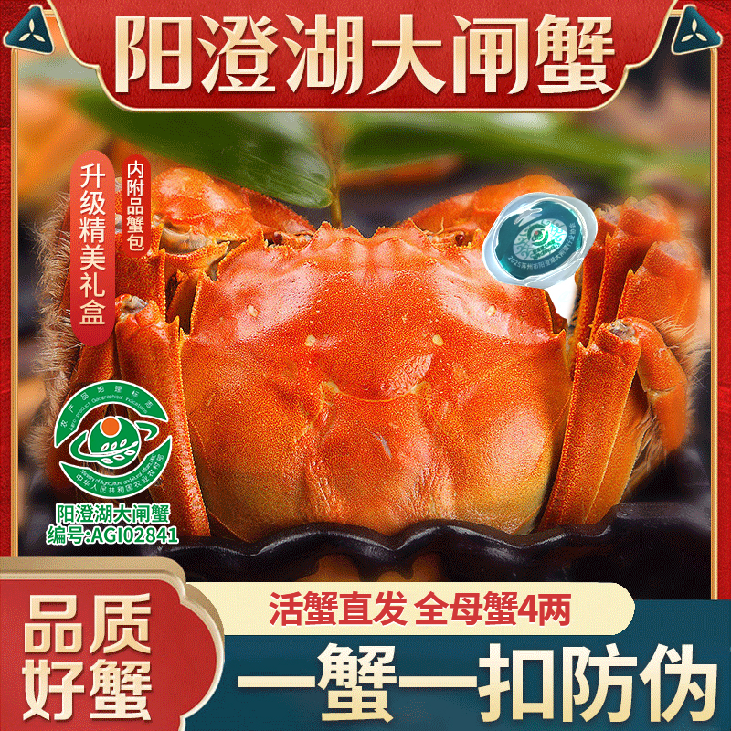 【活蟹阳澄湖大闸蟹】特大全母4两 6/8/10只装超大蟹礼盒高标准塘养