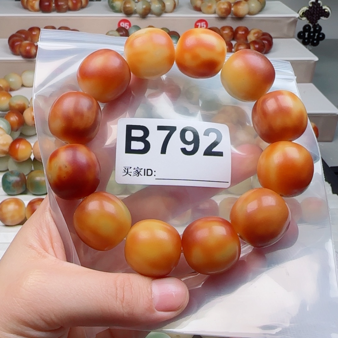 吊坠菩提根/象牙果菩提2.24中瑕不退不换