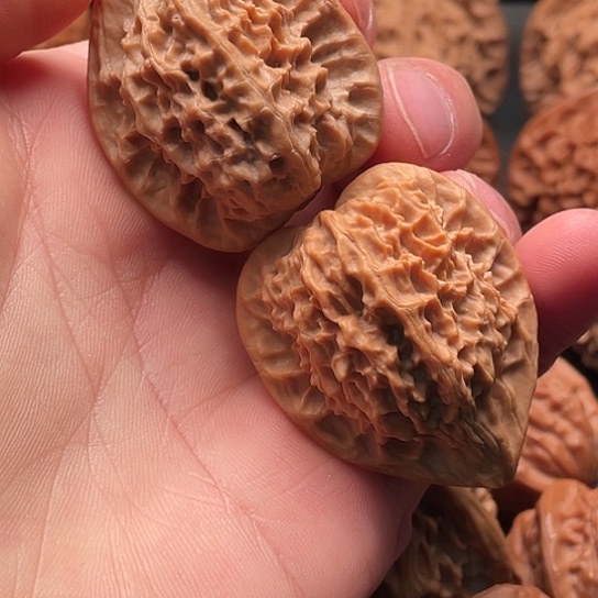 相***风核桃手串/手链秦岭文玩核桃基地