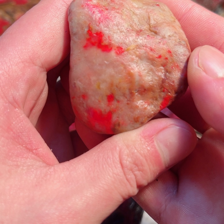 鸡血石昌化鸡血石