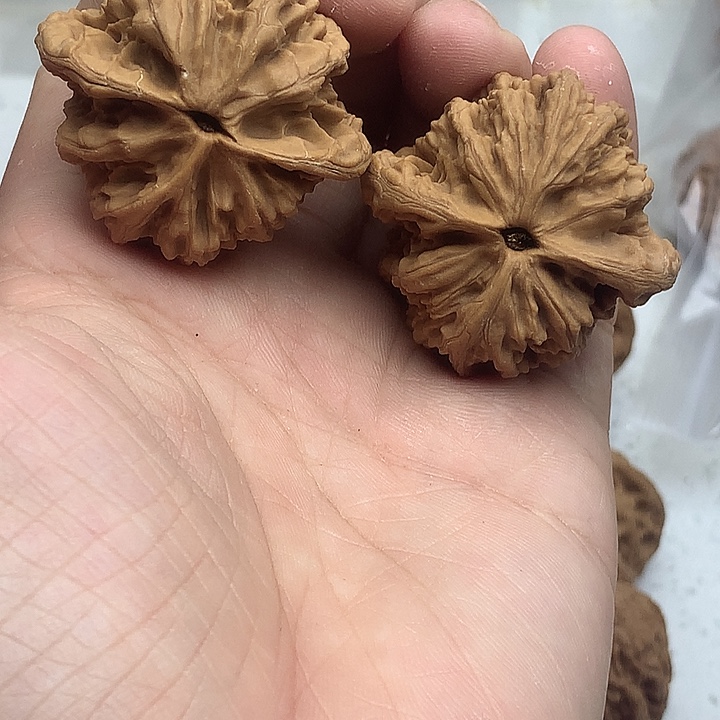 文玩核桃吊坠40 麦虎