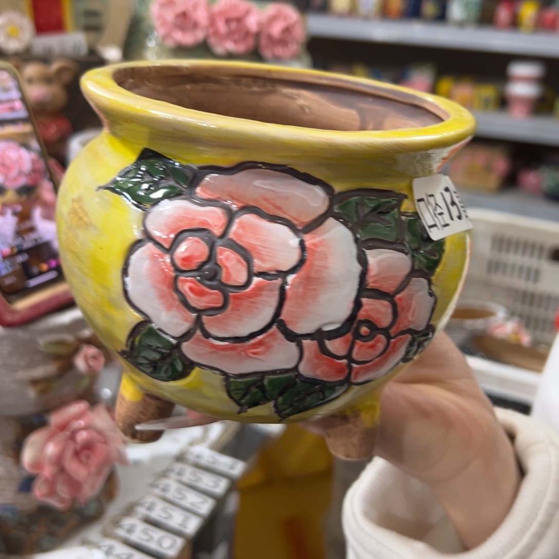 花盆拍满20发货退款拉黑