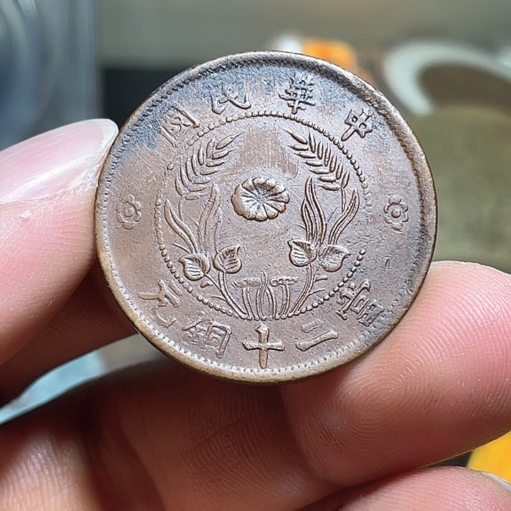 杂色豆（科檀/科特迪瓦檀木）江**者菊花二十文