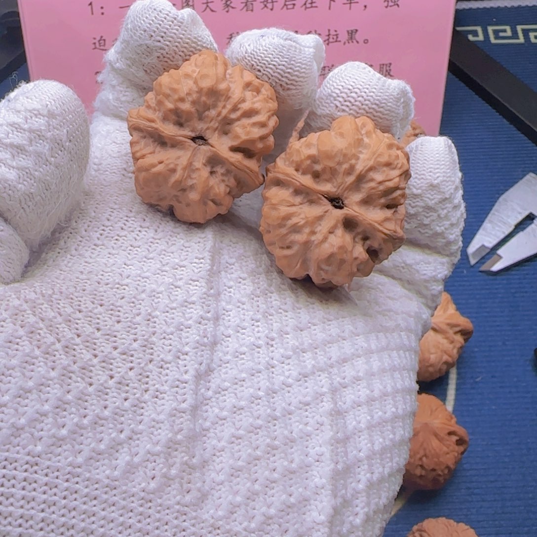 沈***品不退不换福利款蛤蟆