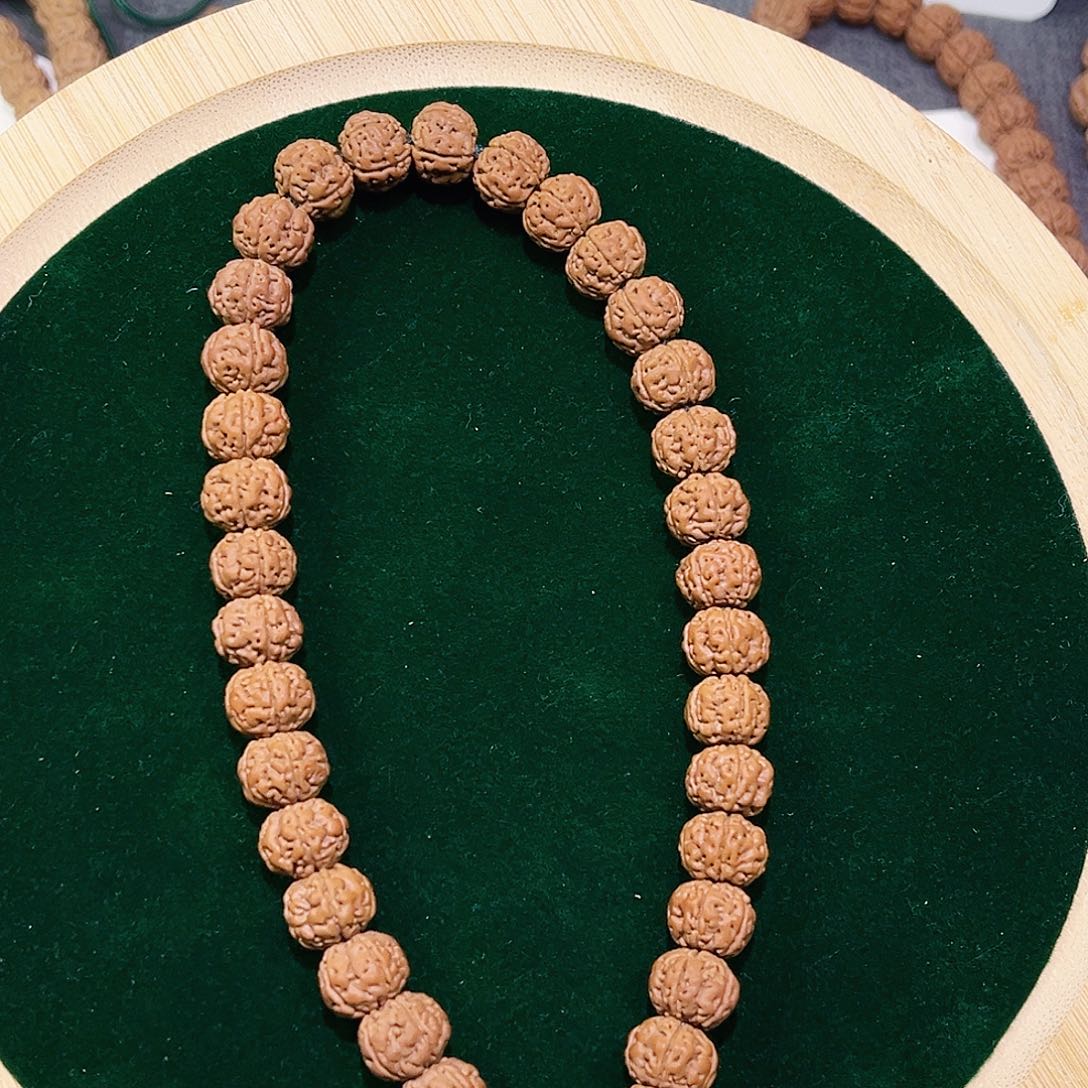 手串金刚菩提原生态老树王单圈10