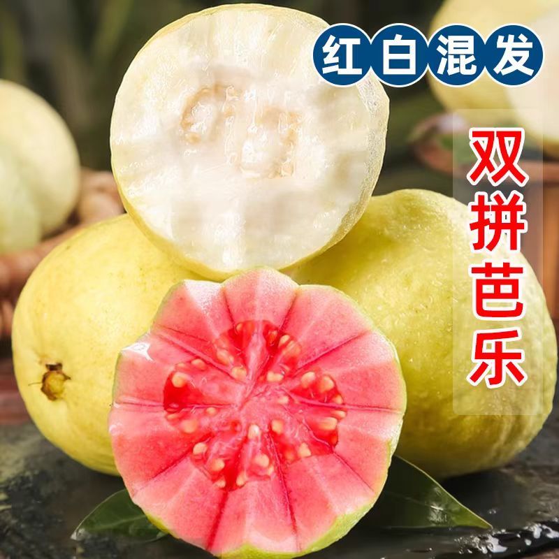 【顺丰】福建软糯芭乐双拼净重3斤新鲜水果应当季软糯巴乐