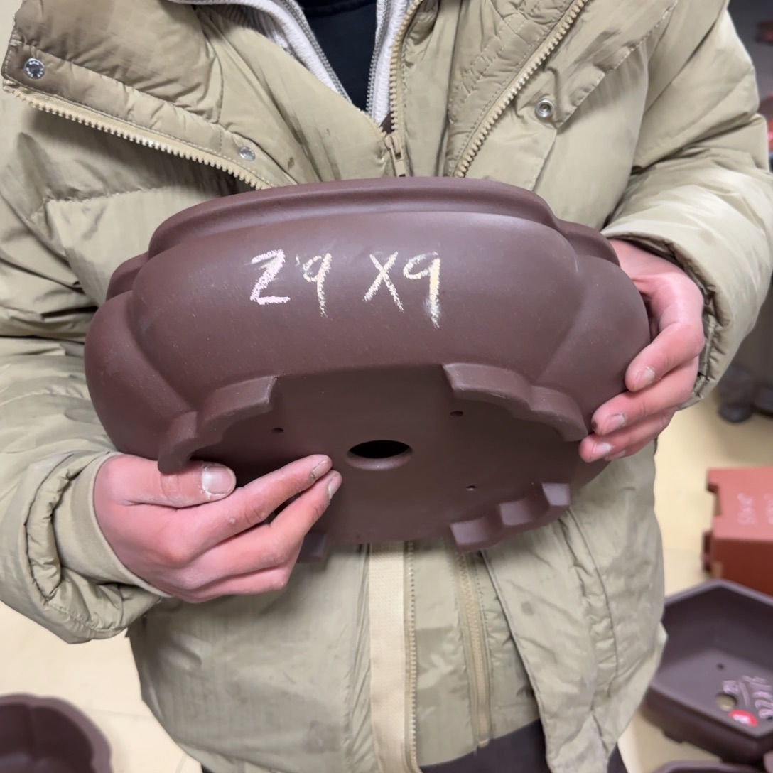 紫砂花盆呜呜呜呜