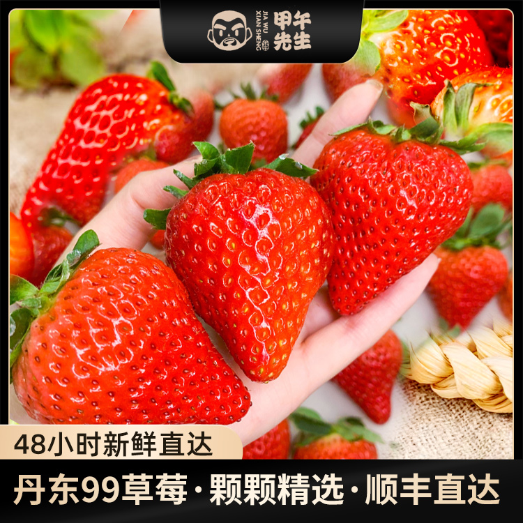 正宗丹东九九草莓1.5-2.5斤新鲜丹东草莓牛奶草莓产地直发