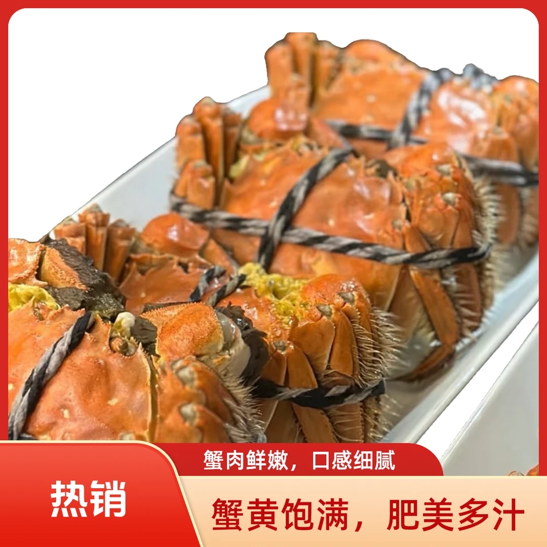 【活蟹全母蟹】大闸蟹一只1.6-4.5两，多规格可选
