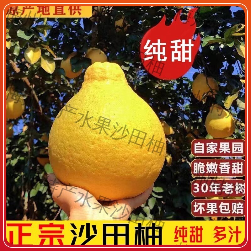 【花皮】正宗梅州沙田柚乾隆柚新鲜柚子水果当季孕妇蜜纯甜包邮