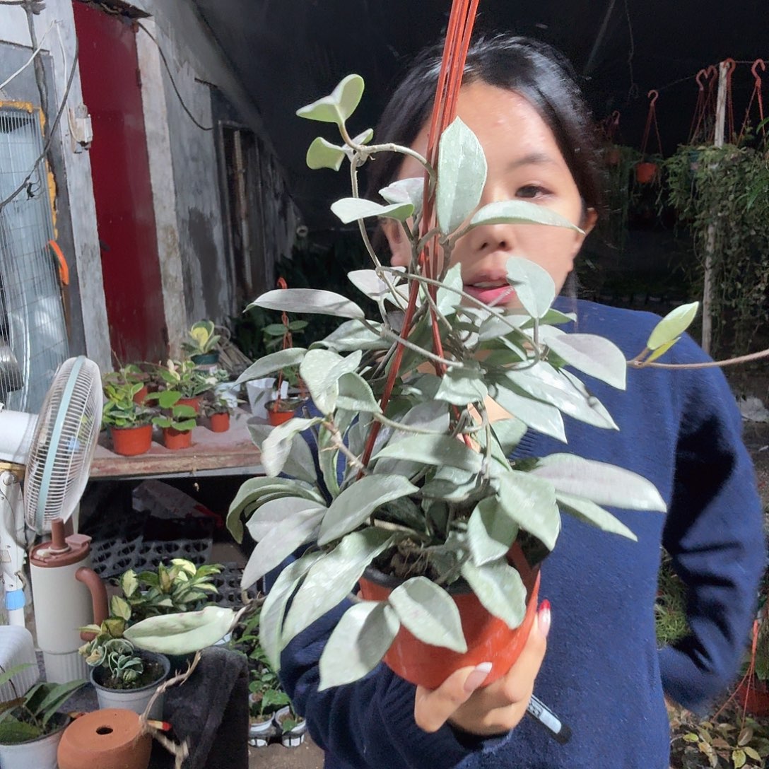  土鸡立即去爷爷 太久