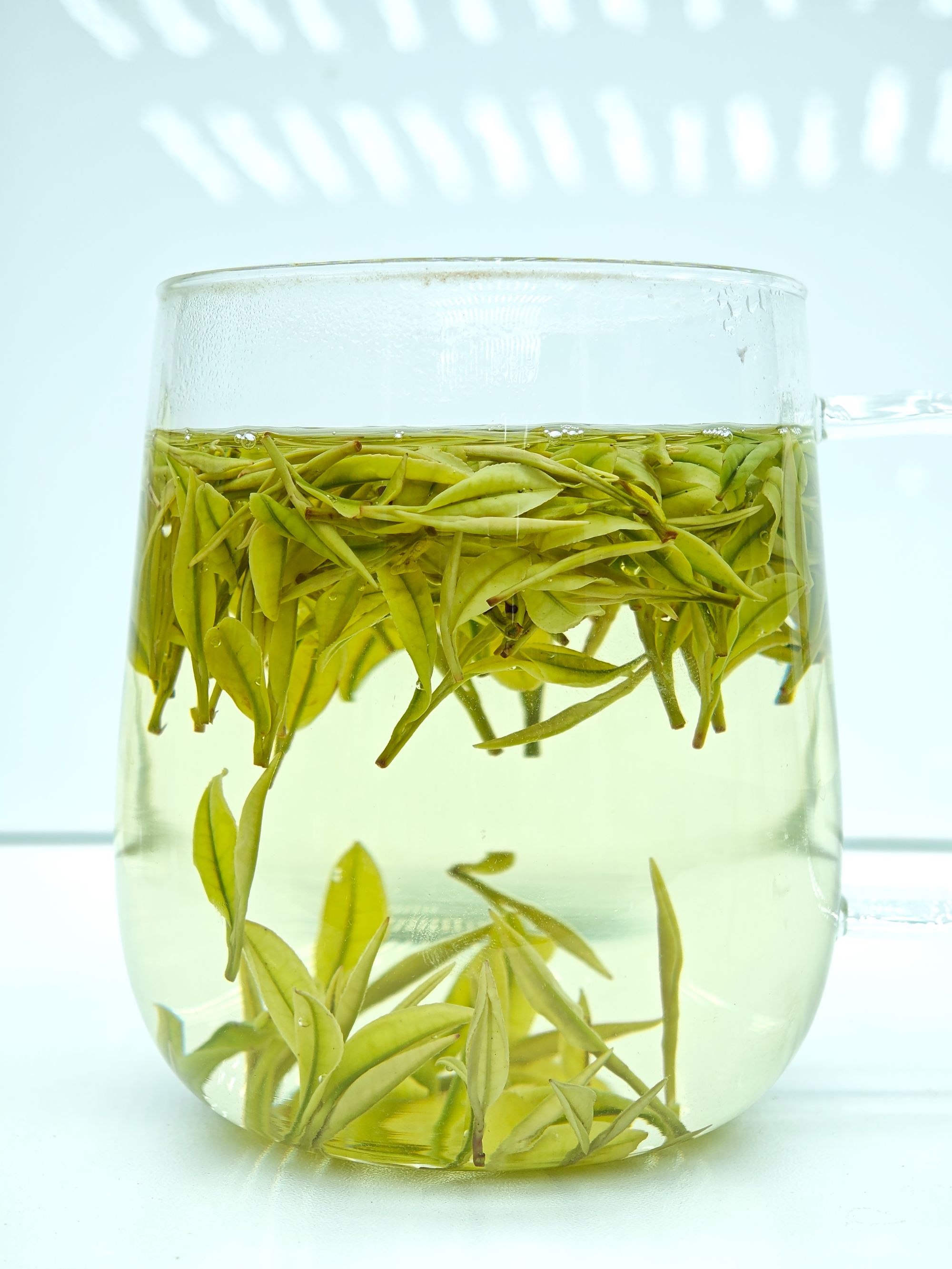 【2025年新茶】安吉高山奶白茶皇金芽奶香味醇鲜甜爽口（N2）