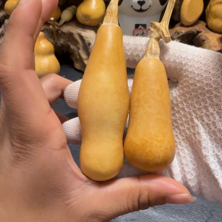 @***二6…………………………………………