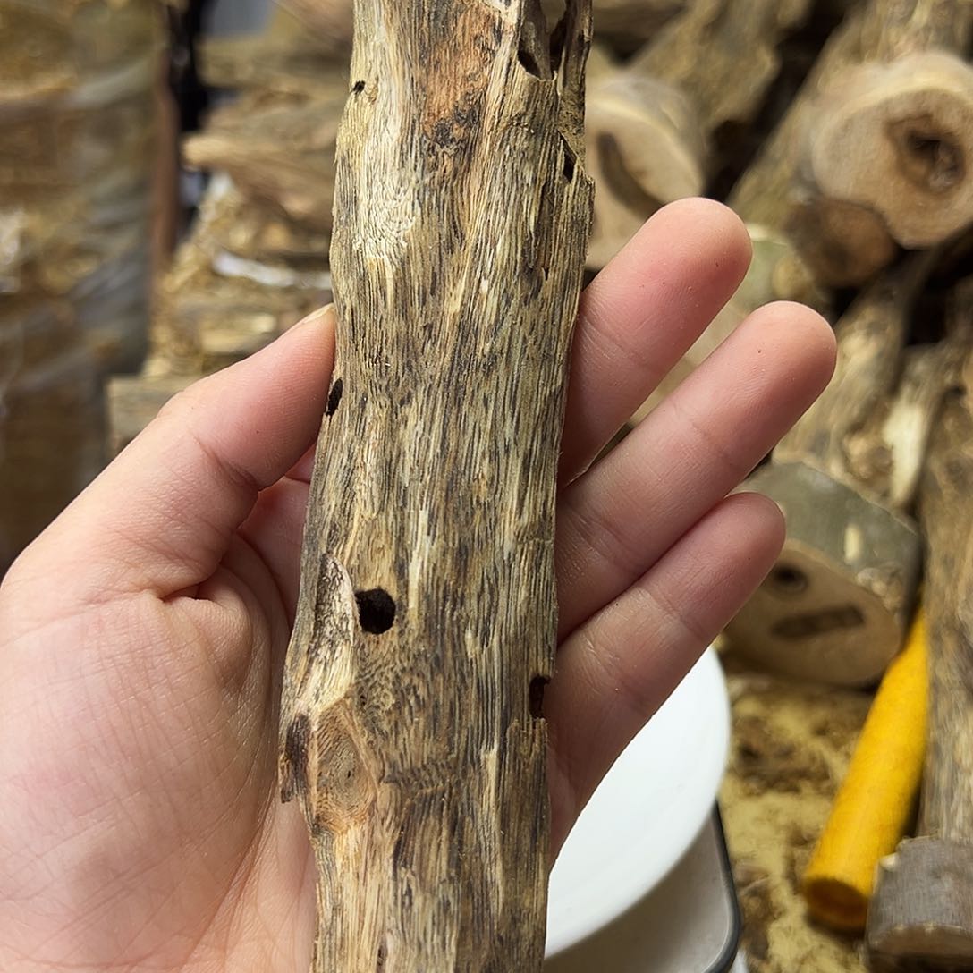 木绿奇楠虫漏38克