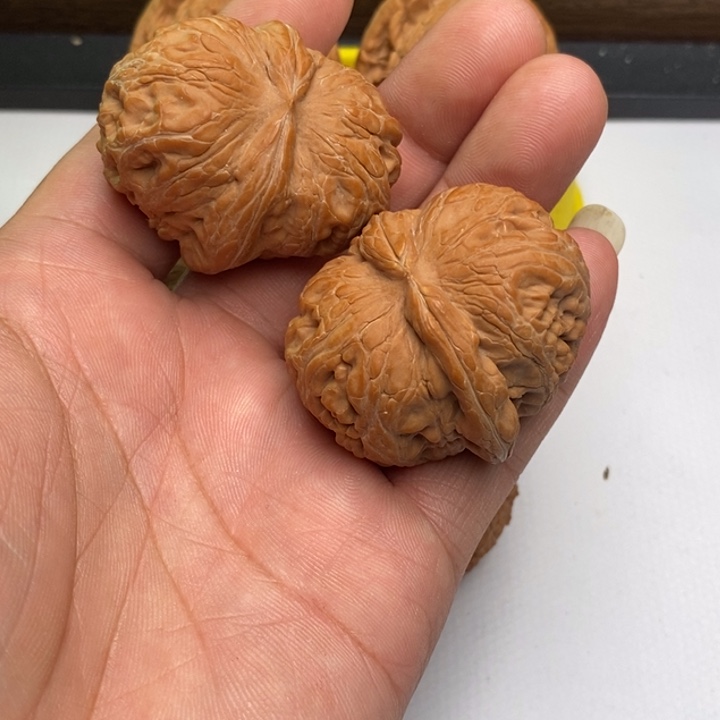 -***学元宝狮子头44尺寸