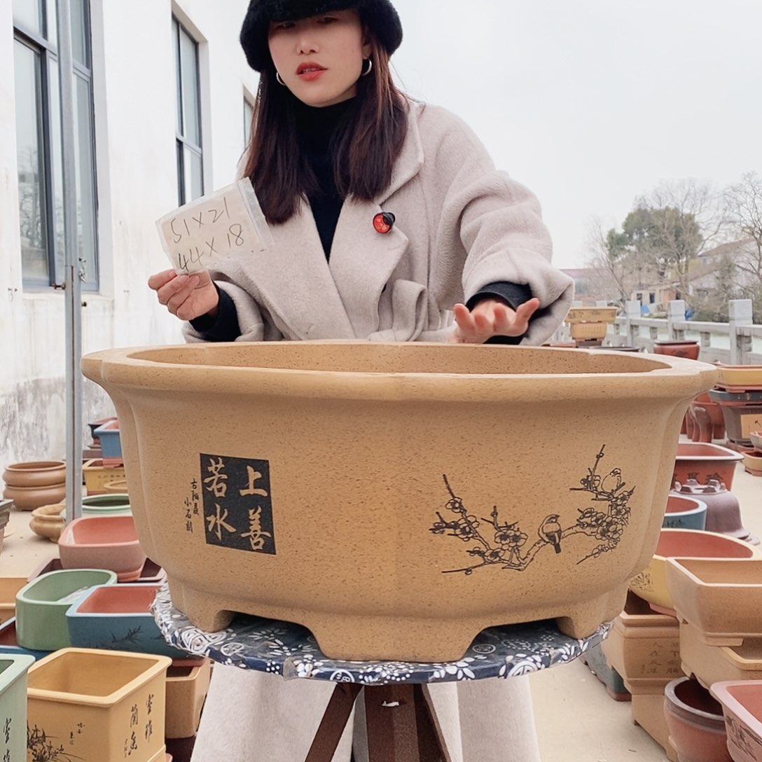 紫砂花盆紫砂花盆