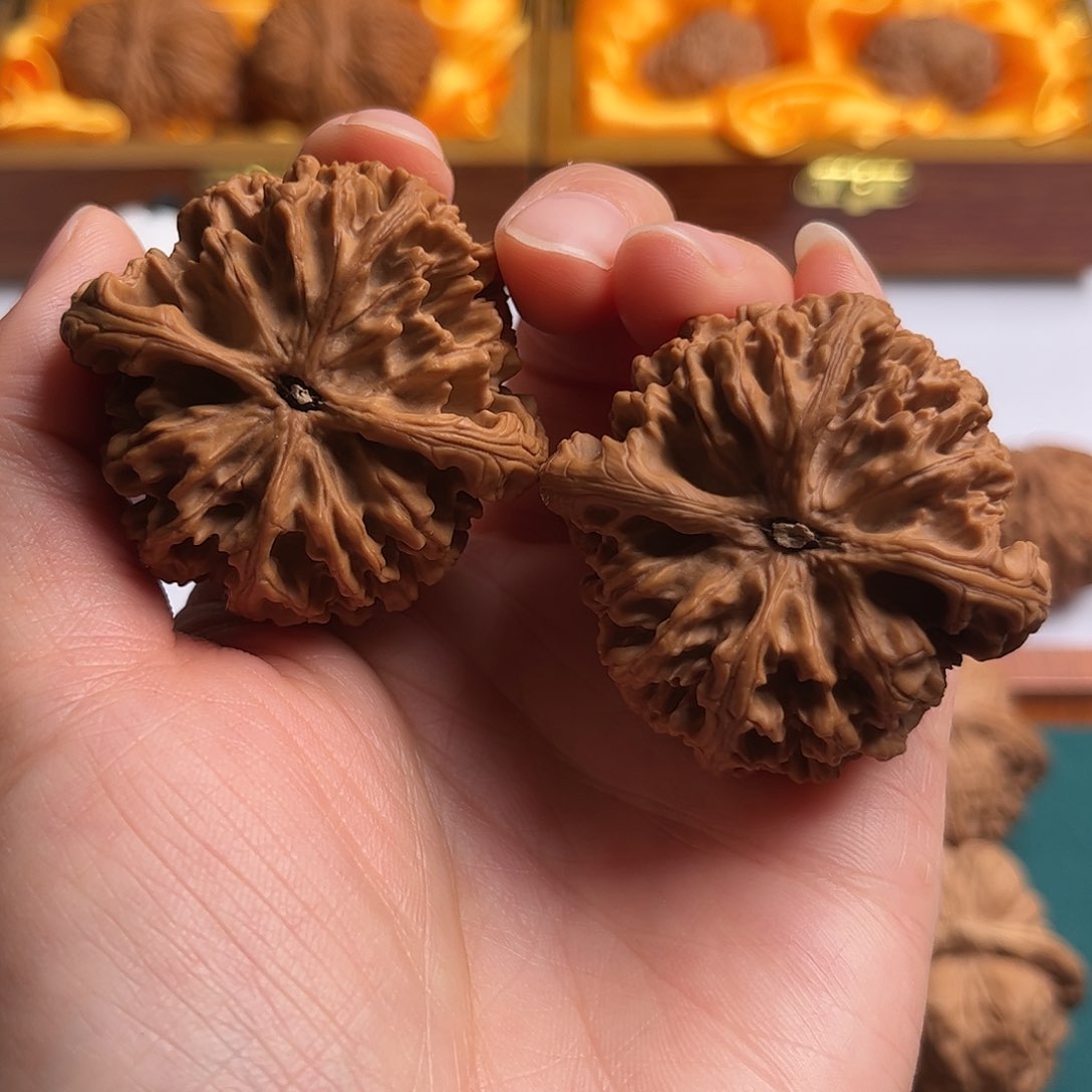 文玩核桃吊坠蘡*剑齿虎