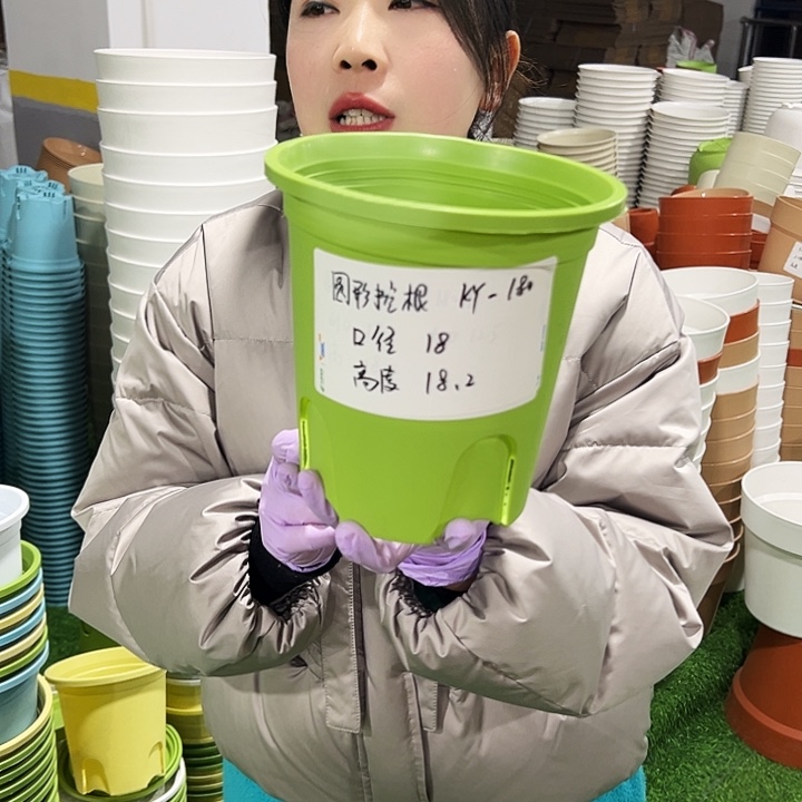 正品圆控口18高18果绿8只无托