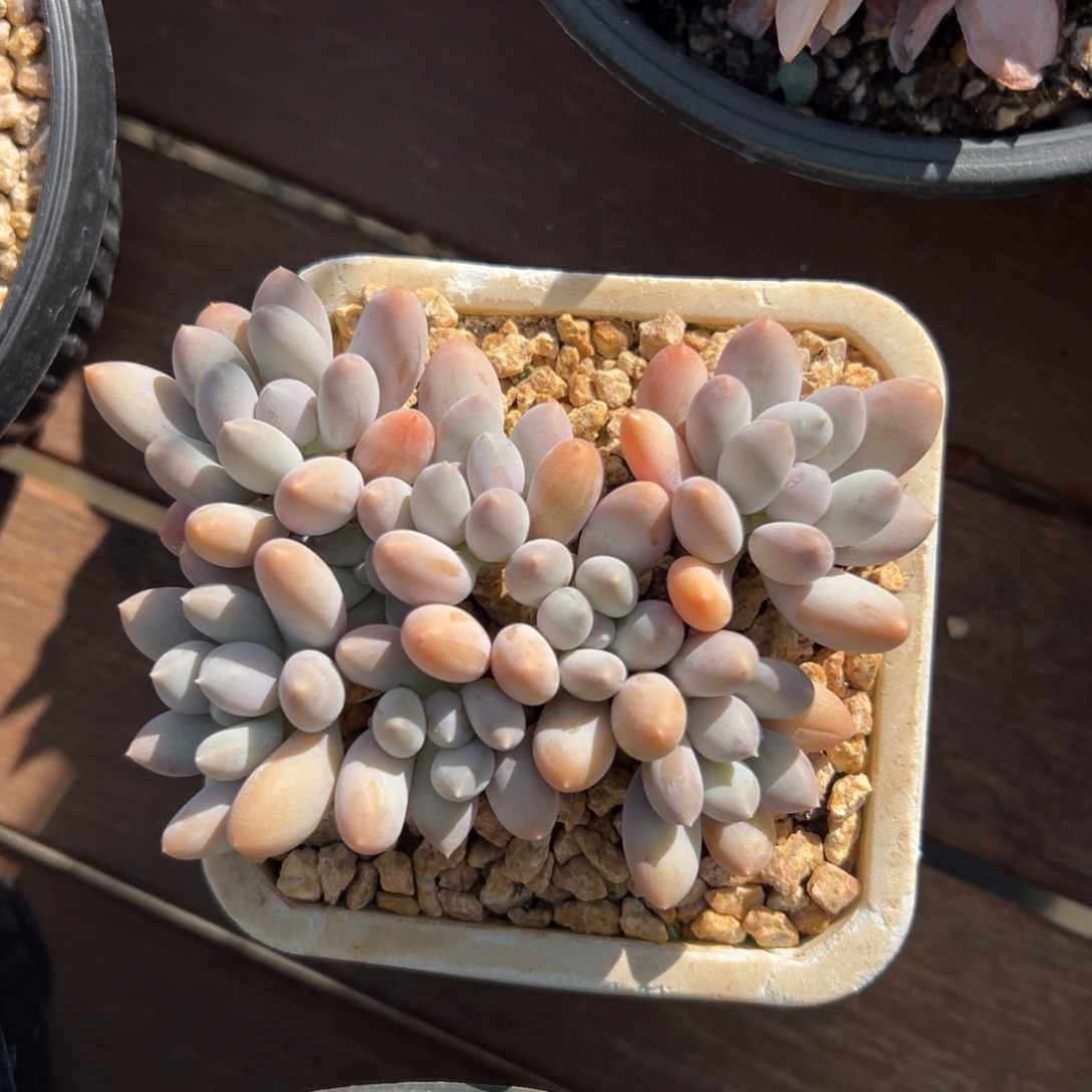 日月星辰11111111111111