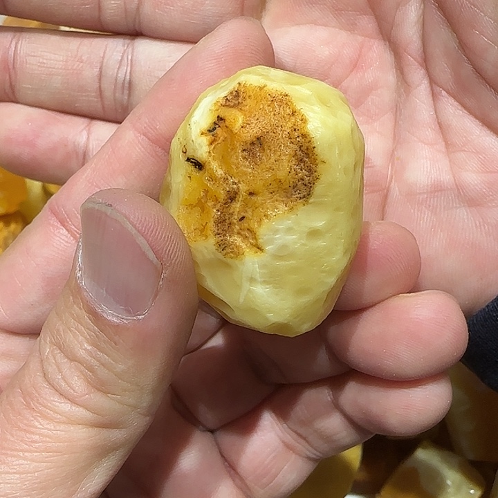 定制琥珀未镶嵌蜜蜡