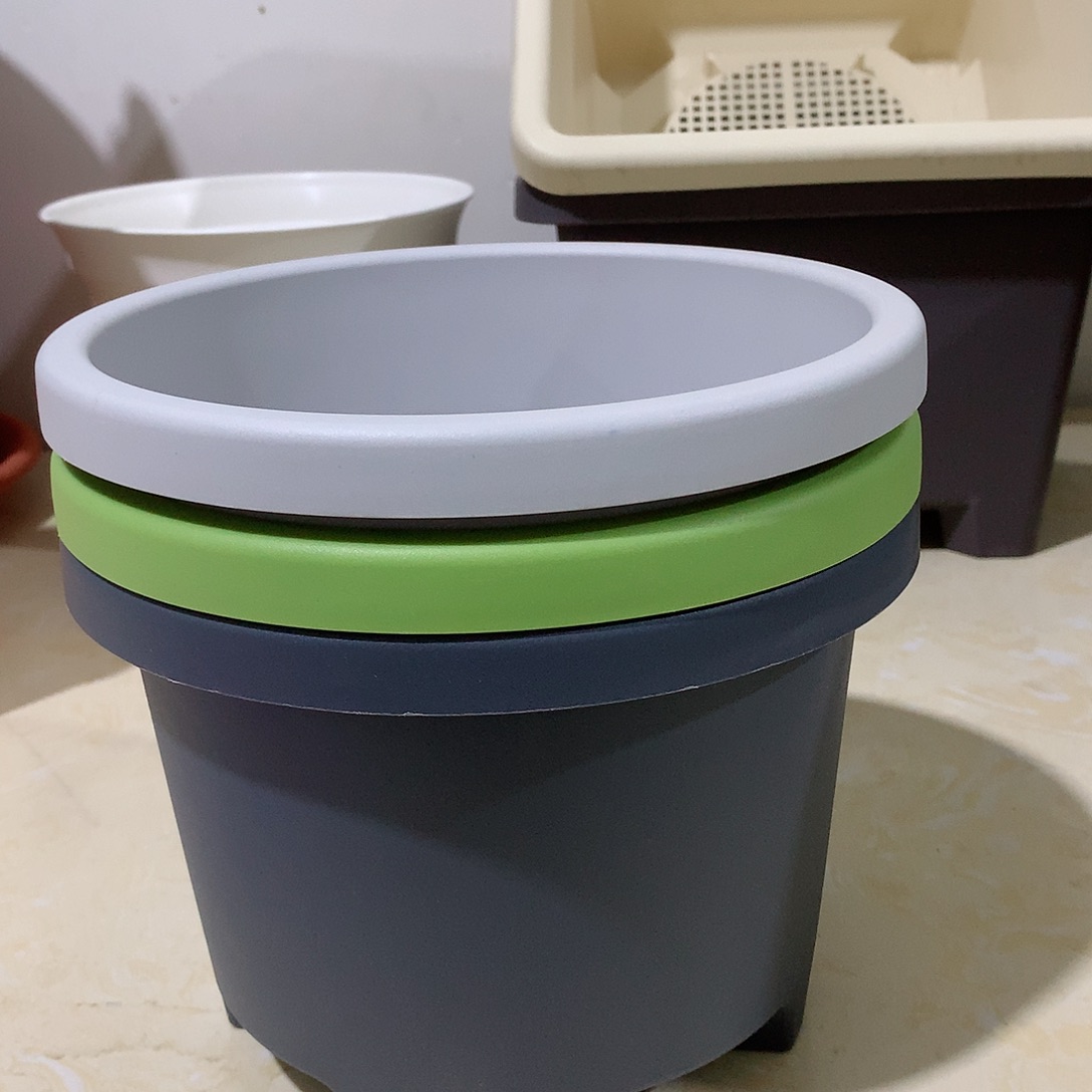 树脂球根口21混色5个无托