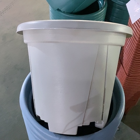 树脂青山7号5个带托灰白