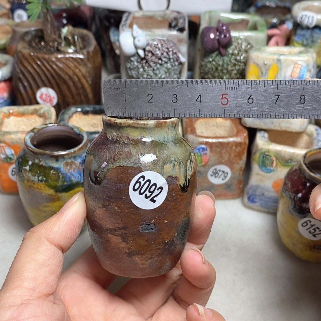 拍5送一个小礼物