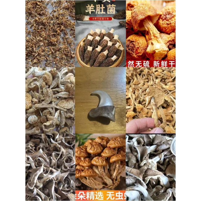 FD91 【钩子】高端品质   香菇菌子   现收山货
