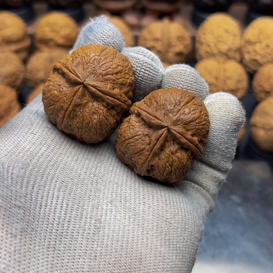 36尺寸蝰蛇三棱 一物一图