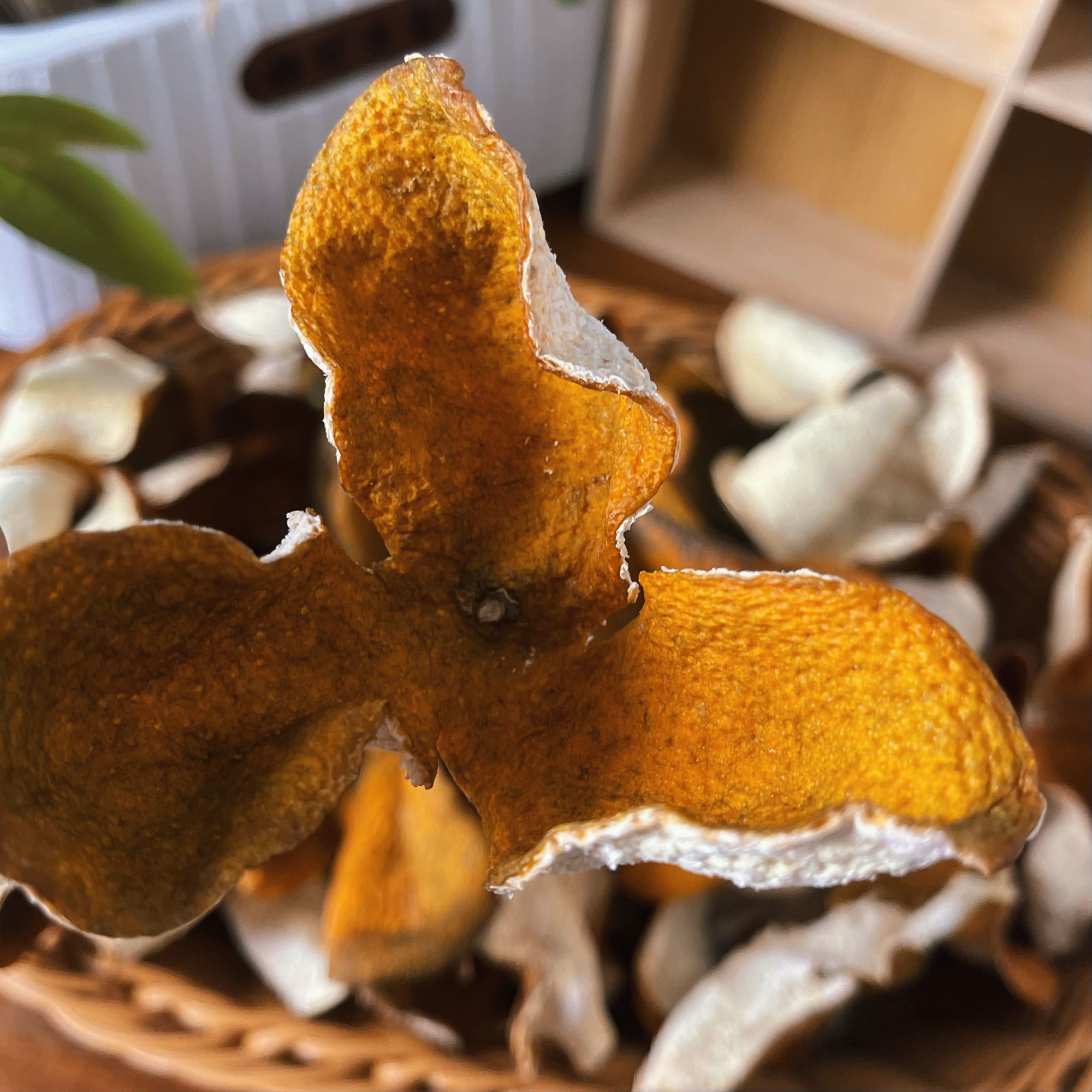 【村民代卖】广西正宗大红陈皮头茬现摘陈皮自然晒干蜜香浓郁