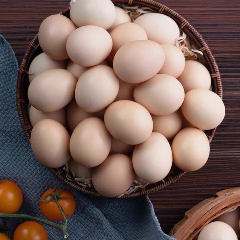50枚整箱 林下散养营养鸡蛋月子蛋土鸡蛋 破损包赔