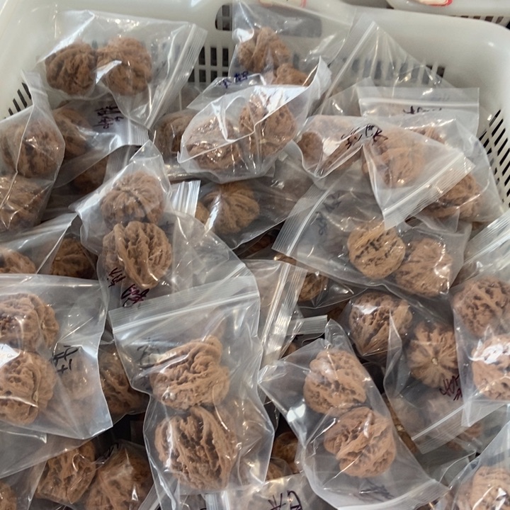 吊坠文玩核桃粗筋瑕疵