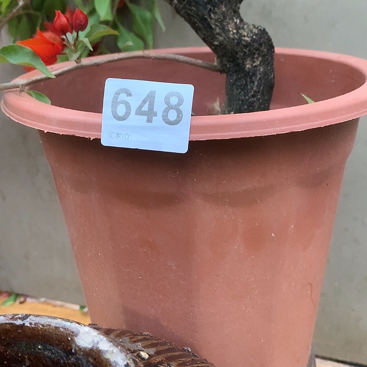 颈饰玻璃英*000648