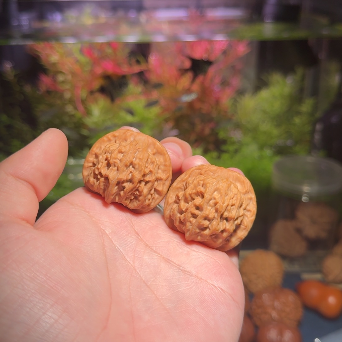 275号37天地狮子头文玩核桃