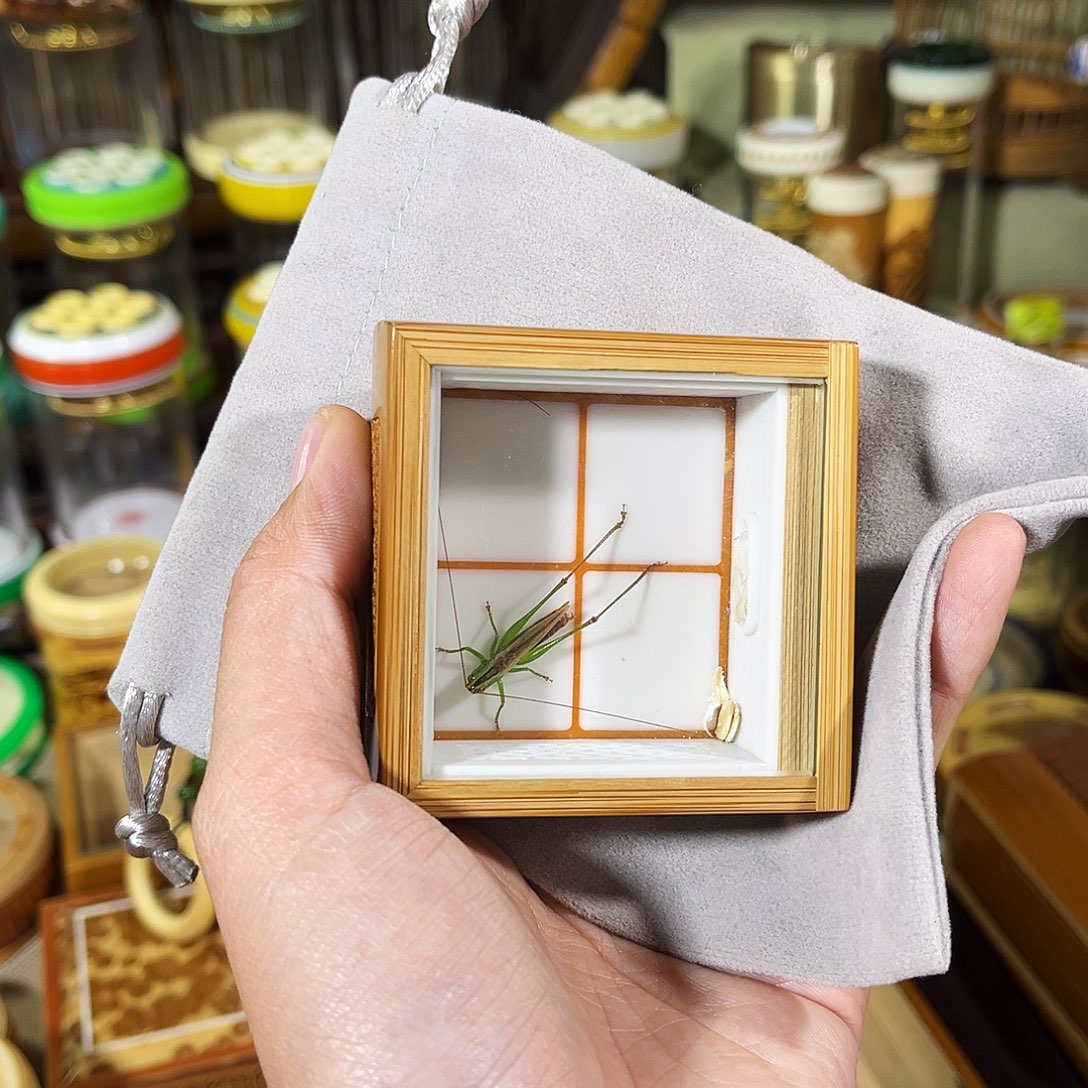 蟋蟀老竹竹蛉盒+糖果+布套