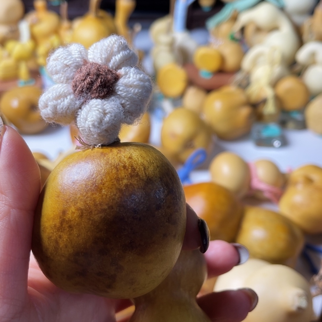 劉***'葫芦葫芦葫芦葫芦