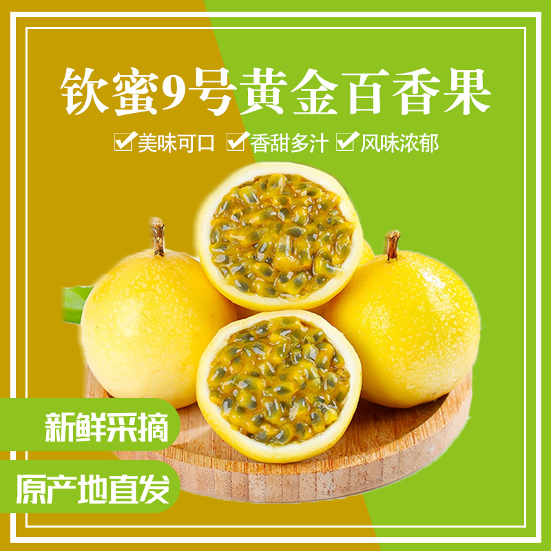 【次日达】广西钦蜜9号黄金百香果新鲜包邮大果百香果原浆黄晶果水果整箱1