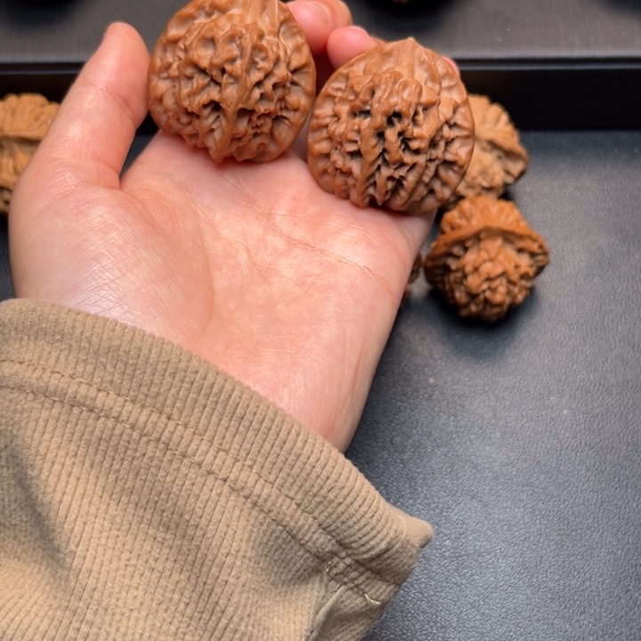 此***海核桃38一代秦闷狮子头不退不换